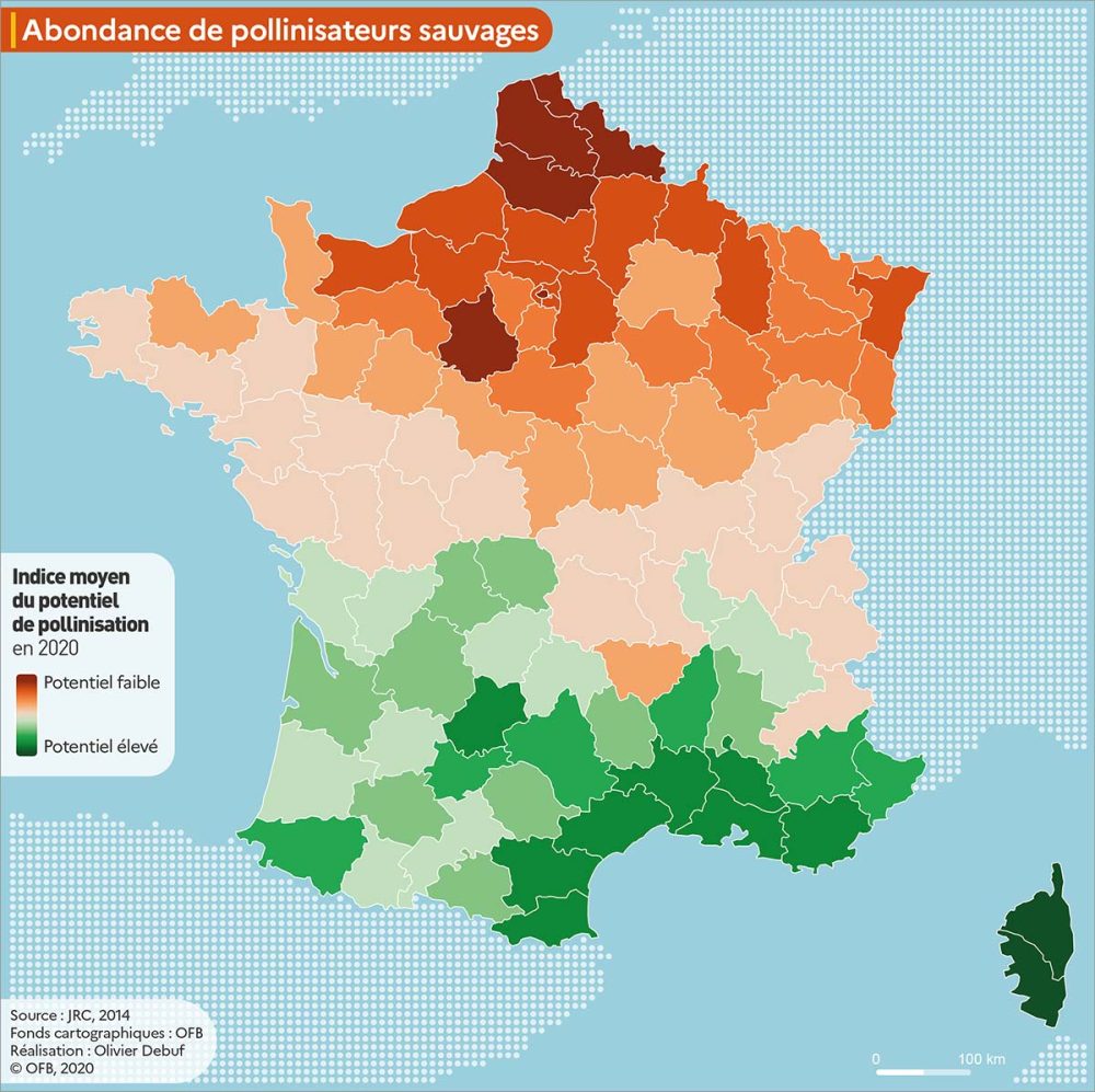 B.A.-BA Du Climat Et De La Biodiversité | Défi De La Biodiversité