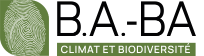 Logo BA-BA